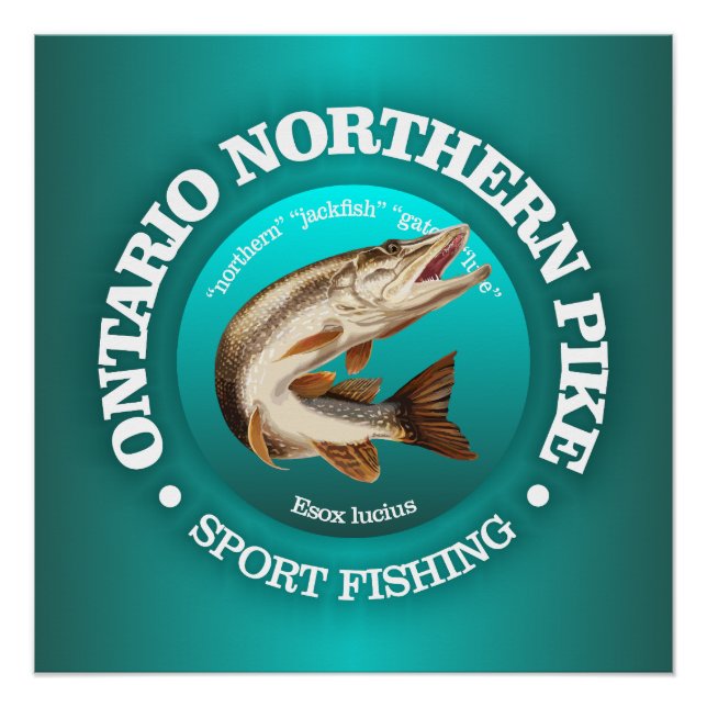 Poster Pêche au brochet en Ontario (Devant)