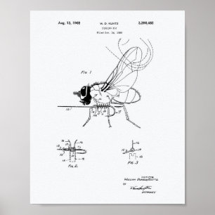 Poster Pêche Vol 1968 Brevet Art Livre blanc