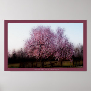 Poster Pêcher au printemps