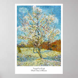 Poster Pêcher les arbres en fleurs Vincent Van Gogh