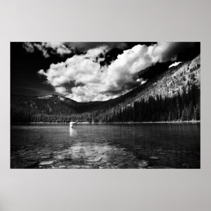 Poster Pêcheur du Montana