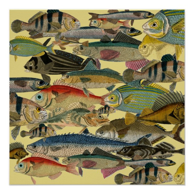 Poster Pêcheur Pêcheur En Mer Profonde Pêche Exotique Tro (Devant)