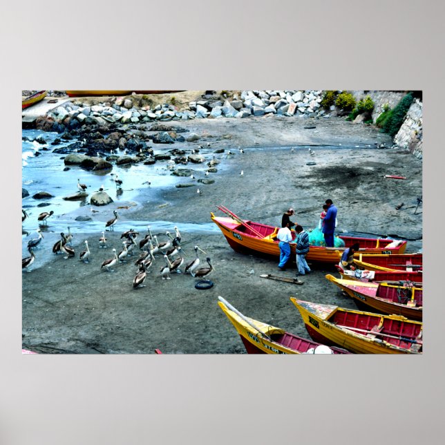 Poster Pêcheurs et pélicans, Valparaiso, Chili (Devant)