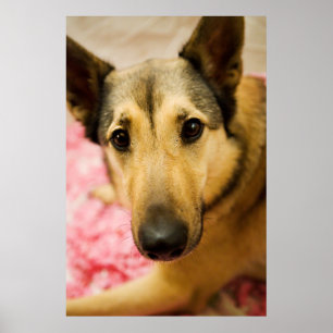 Poster Pédales de fleurs de cerisier de Marley