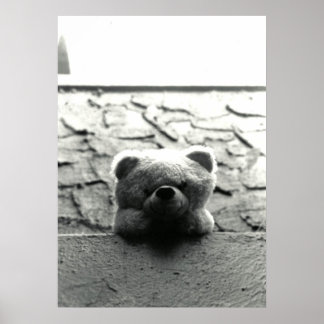 Poster Peek-a-Boo Teddy