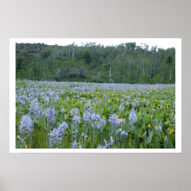 Poster Peindre le champ (Devant)