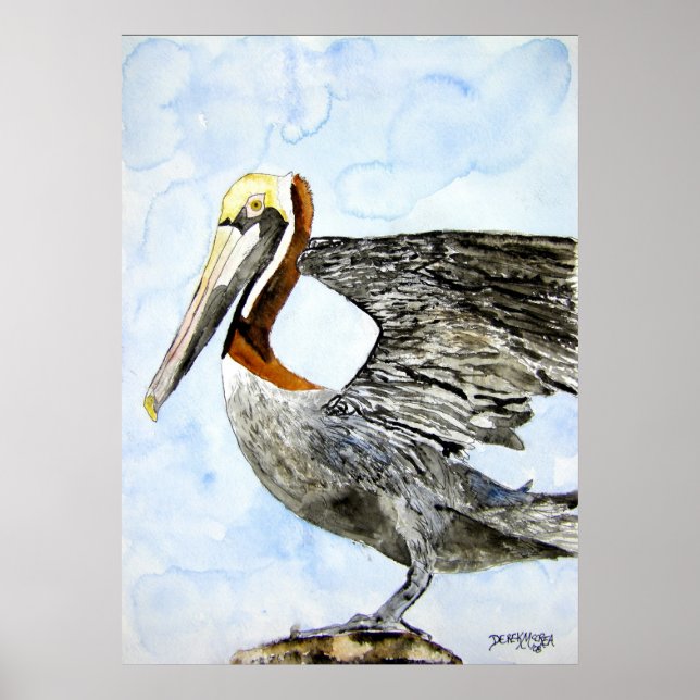 Poster peindre_oiseau_pelican_4 (Devant)