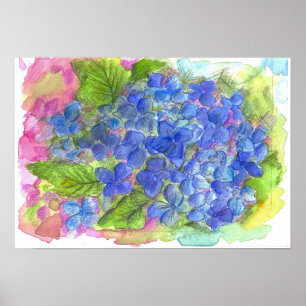Poster Peinture à l'aquarelle bleu Hydrangea
