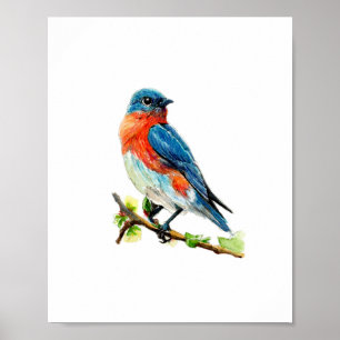 Poster Peinture à l'aquarelle de l'oiseau bleu de l'Est