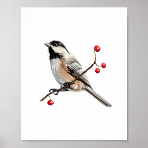 Poster Peinture à l'aquarelle de mésange