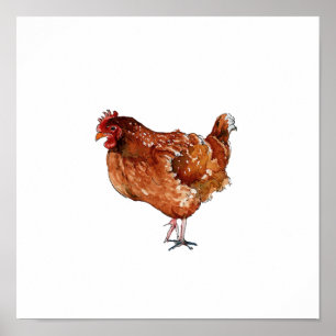 Poster Peinture à l'aquarelle de poule brune oiseau