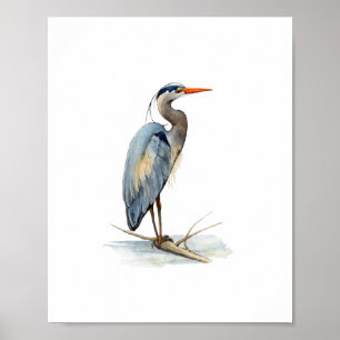 Poster Peinture à l'aquarelle du Grand Héron