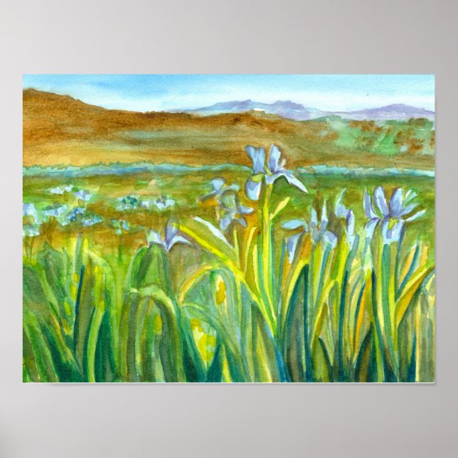 Poster Peinture à l'aquarelle Wild Iris Fleur sauvage Mea (Devant)