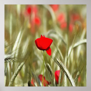 Poster Peinture acrylique Hot Poppy