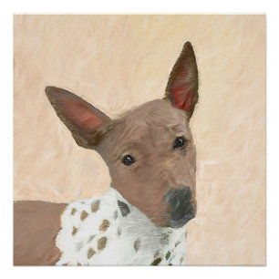 Poster Peinture américaine sans poil Terrier - Chien Art