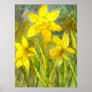 Poster Peinture aquarelle, Fleurs Jaunes, Daffodiles