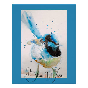 Poster Peinture aquarelle Troglodyte bleu Oiseaux austral