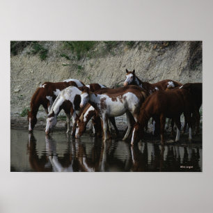 Poster Peinture Chevaux Boire