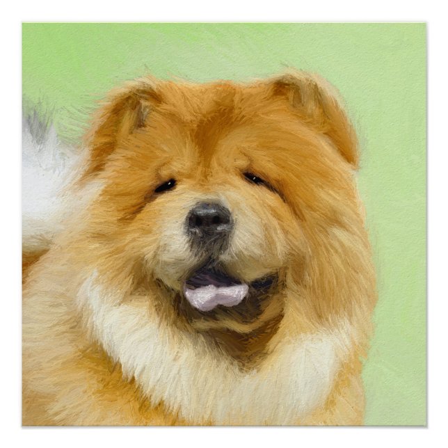 Poster Peinture Chow Chow - Joli art original chien (Devant)