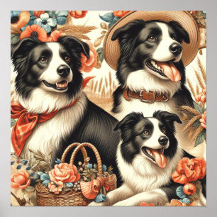 Poster Peinture Collie vintage