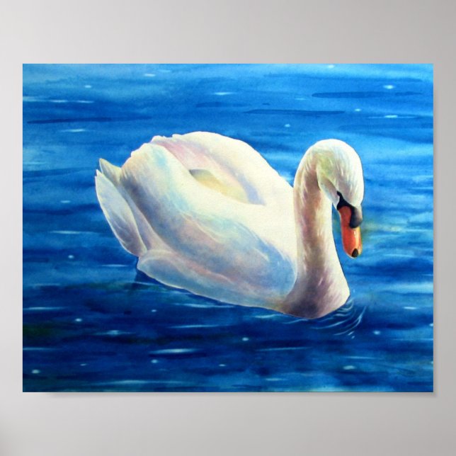 Poster Peinture d'aquarelle de cygne blanc, sauvagine, oi (Devant)