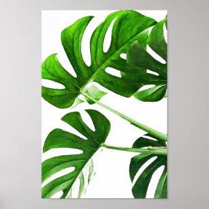 Poster Peinture d'aquarelle de la feuille de Monstera #5
