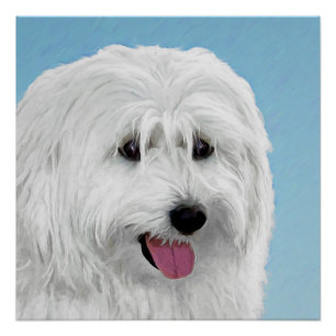 Poster Peinture de Berger de la Plaine Polonaise - Chien