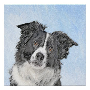 Poster Peinture de Border Collie - Art de chien original