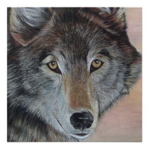 Poster peinture de faune de loup gris