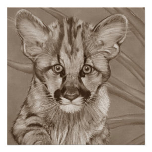 Poster peinture de faune mignonne de grand chat de chaton