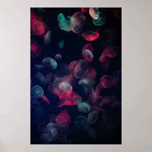 POSTER PEINTURE DE JELLYFISH COULEUR ASSORTIE (Devant)