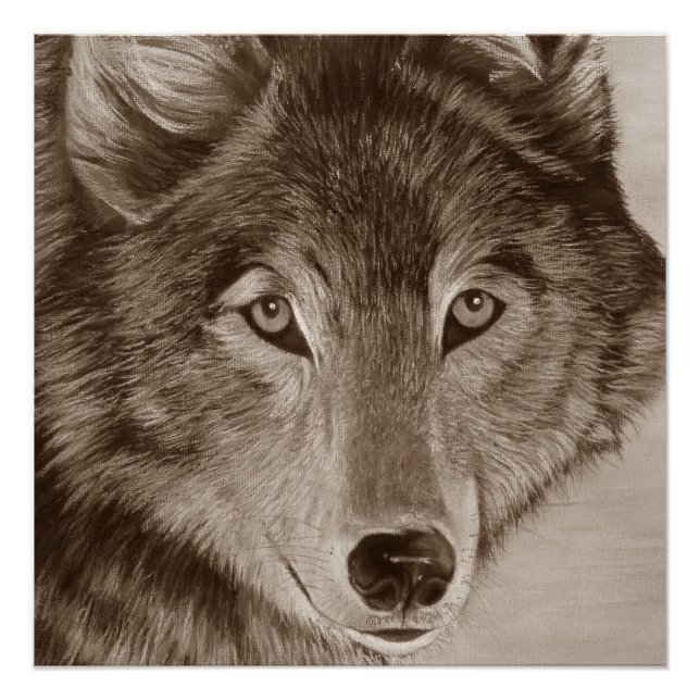Poster peinture de la faune du loup gris (Devant)