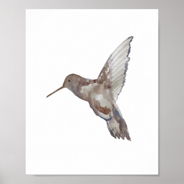 Poster Peinture de la nature des colibris (Devant)