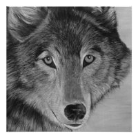 peinture de loup gris en noir et blanc