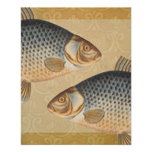 Poster peinture de pêche de carpe dessin d'eau douce