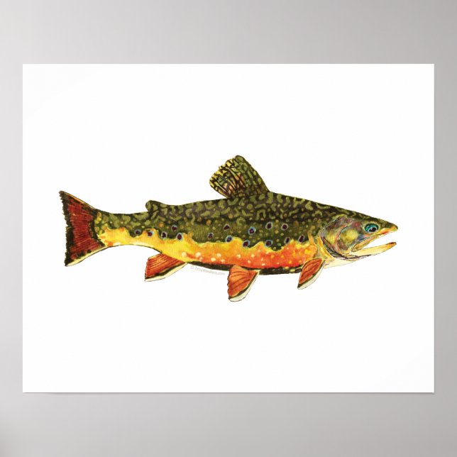 Poster Peinture de poissons de truite broyée (Devant)