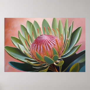 Poster Peinture de Protea étonnante Vibrant Floral