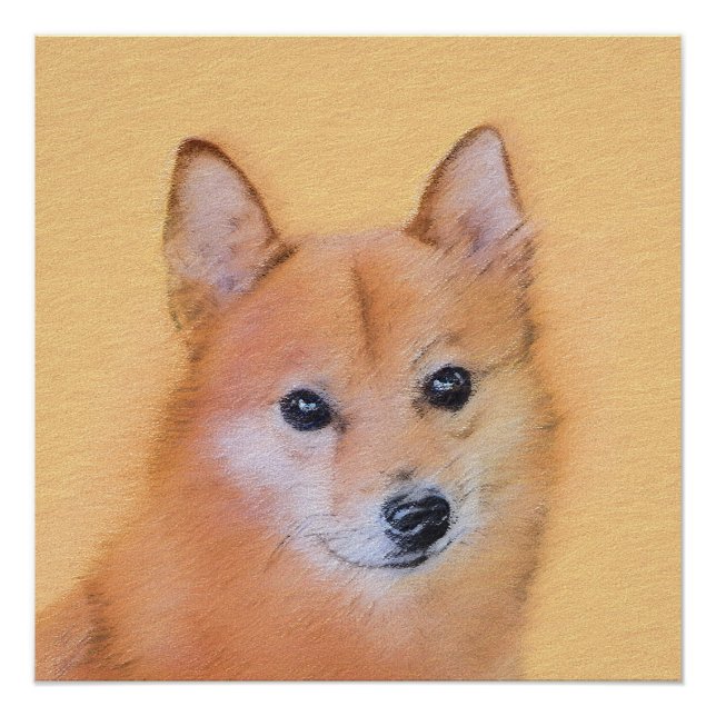 Poster Peinture finlandaise Spitz - Jote Original Chien A (Devant)