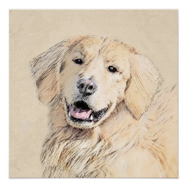 Poster Peinture Golden Retriever - Joli art original chie (Devant)
