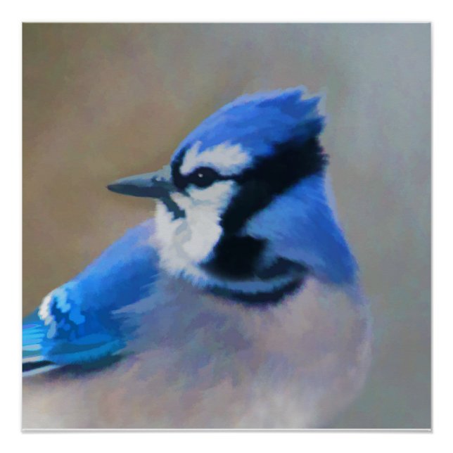 Poster Peinture Jay Bleu - Art Oiseau Original (Devant)