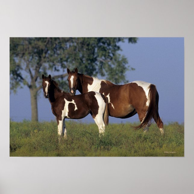 Poster Peinture Mare & Foie (Devant)
