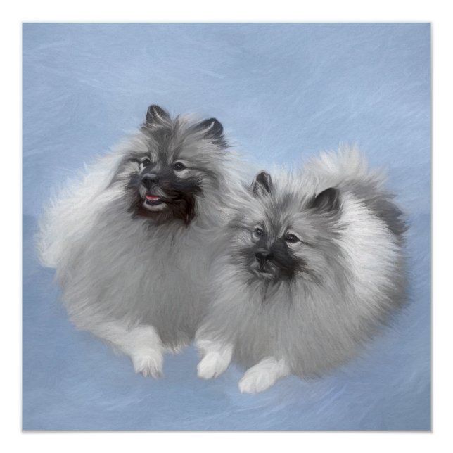 Poster Peinture originale d'un couple de Keeshond - Art a (Devant)