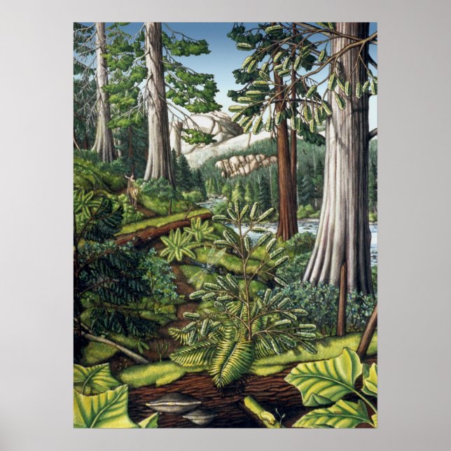 Poster Peinture paysagère canadienne Imprimer par Kim Hun (Devant)