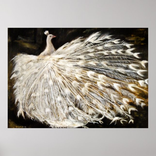 Poster Peinture Peacock blanche (Devant)