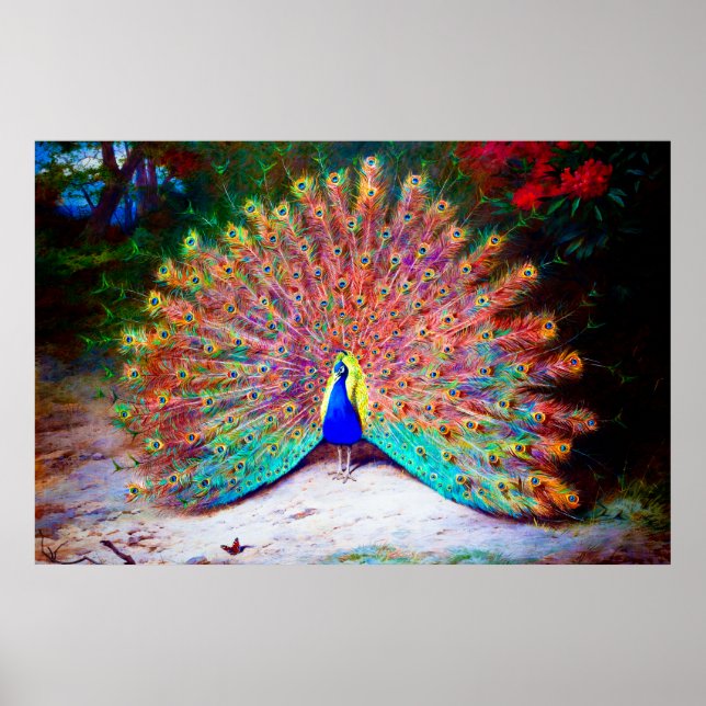 Poster Peinture Peacock vintage (Devant)