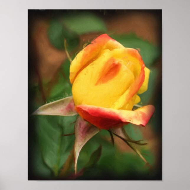 Poster Peinture photographique à fleurs de rose jaune (Devant)