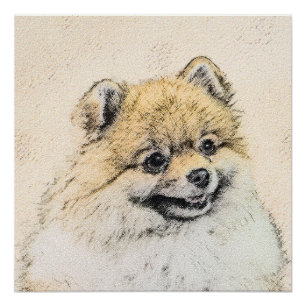 Poster Peinture Poméranienne (orange) - Art Chien origina