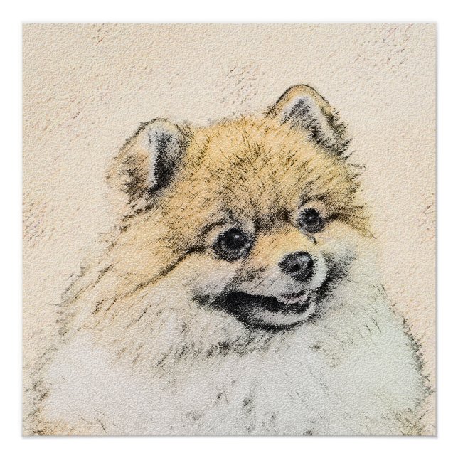 Poster Peinture Poméranienne (orange) - Art Chien origina (Devant)