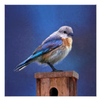 Peinture pour oiseaux bleus (femelle) - Art origin