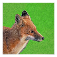 Peinture Red Fox - Art original de la faune